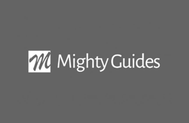Mighty Guide: 7 experts on flawless campaign execution.